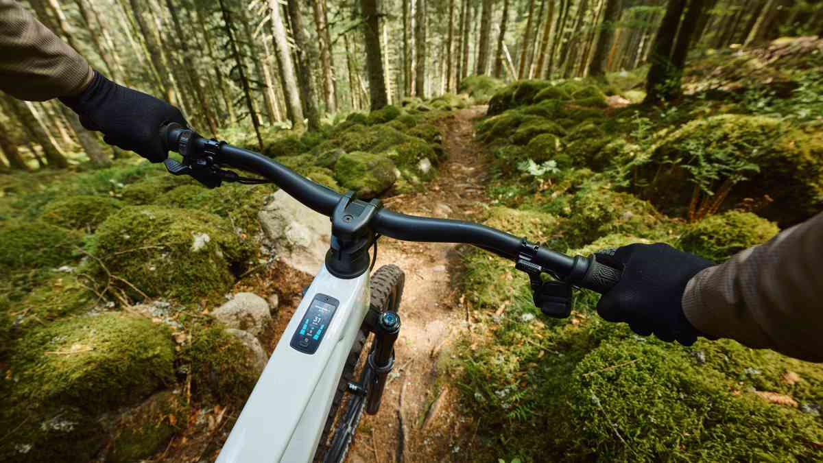 Rose File Plus: Jetzt neu mit Shimano XT Di2 | BIKE