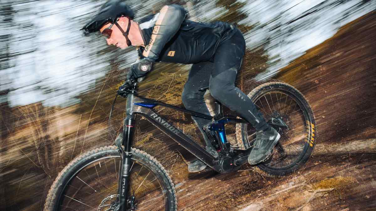 Schwalbe Fietsbanden, set van 26 inch x 2,25 (57-559) AV DV SV binnenband en 3 metalen bandenlichters E Bike (AV-ventielslangen, 26 x 2,25 inch (57-559