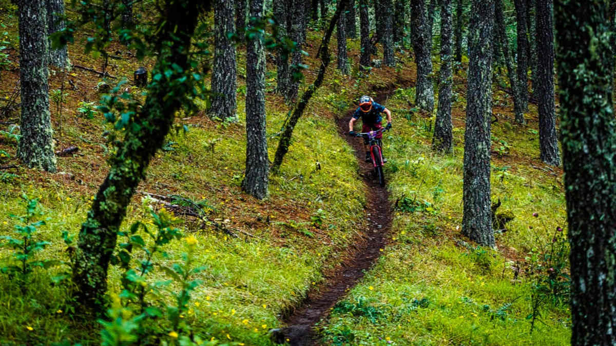 My top 5: The worldwide trail favourites from race pro Julia Schäfer | BIKE