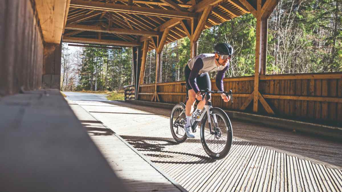 bikepacking zelt big agnes Blacktail 3 Hotel Bikepack color:EMERALD-PLUM-BLACK (170) 3joueurs top stuff sack Schutzblech Fahrrad online kaufen