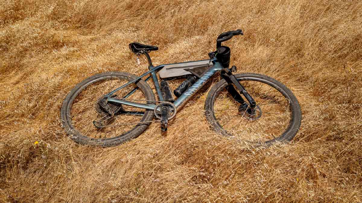 Canyon Grizl: New generation wants to set trends on gravel bikes