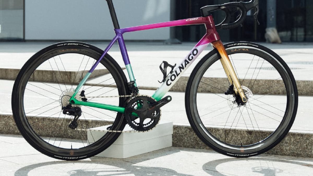 colnago endurance bike