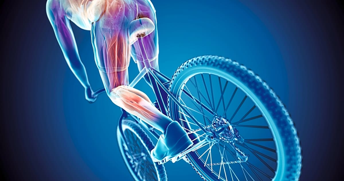 So wird man Knieschmerzen beim Biken los BIKE