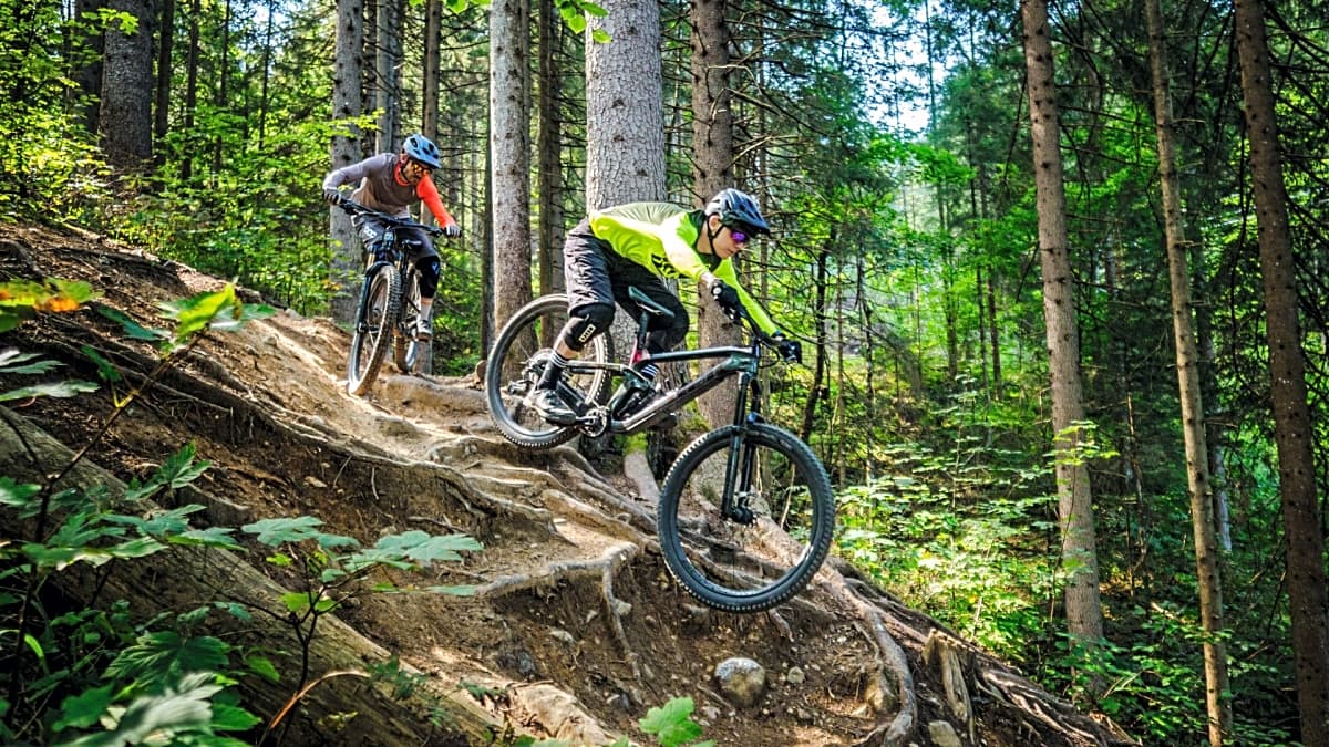 rocky mountain bikes vs trek