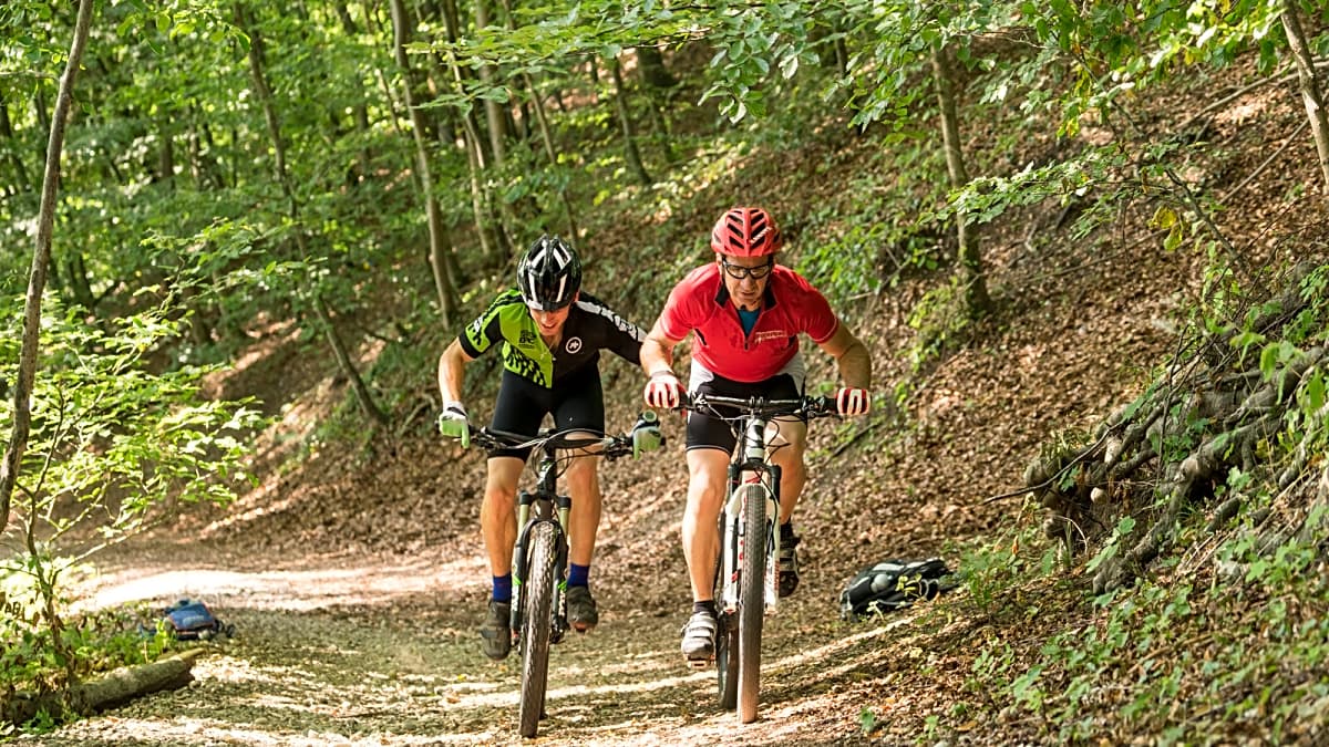 fahrrad im wald rechts oder links überholen rufen