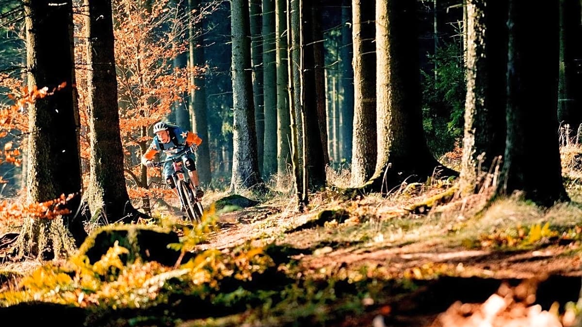 Klein, aber fein: Die Deister-Trails | BIKE