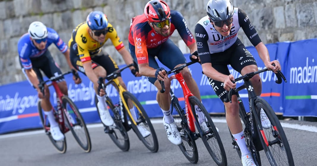 MailandSan Remo 2024 Favoriten & Startliste TOUR