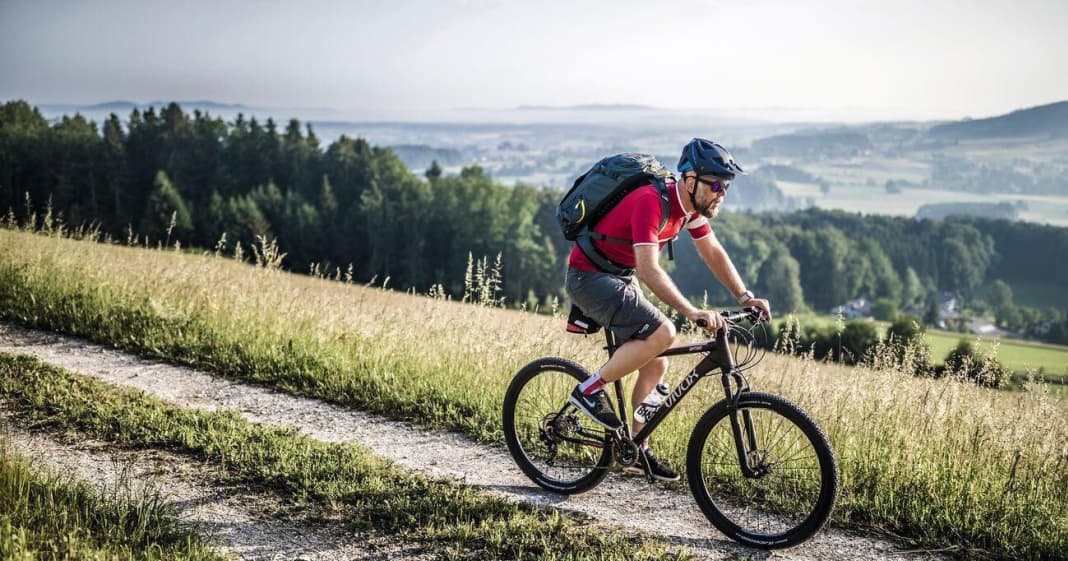 Vivax mtb clearance