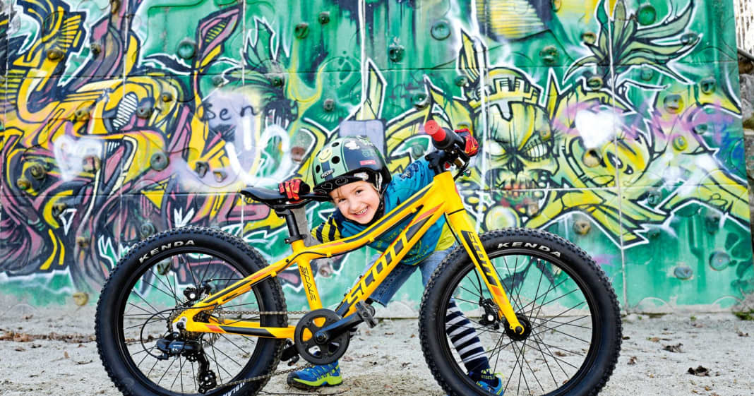 scott scale jr 20 plus bike