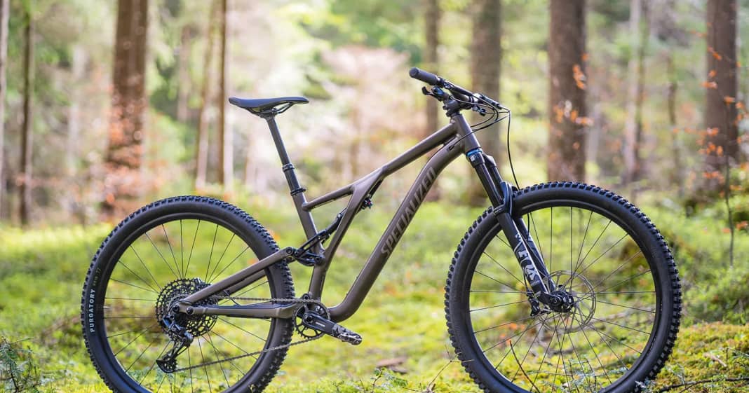 Specialized stumpjumper comp alloy 29 test shop