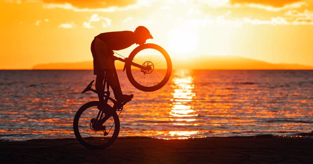MTB ReifenTest Was sind die besten Modelle für Trailbikes? BIKE