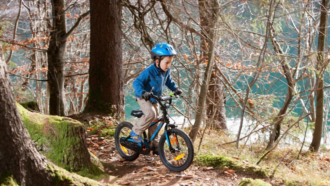 Specialized hotrock 16 price on sale