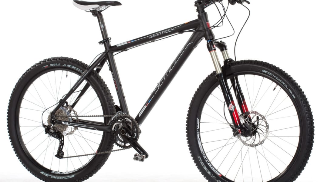 Serious bear rock e bike clearance
