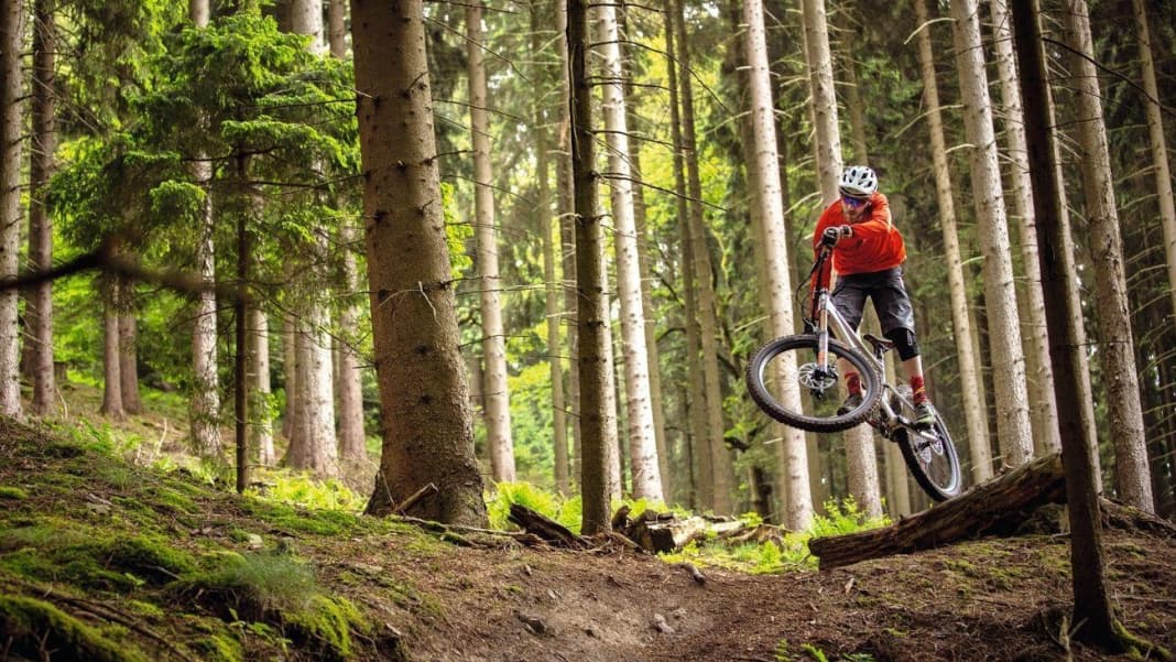 Best enduro mtb 2019 store