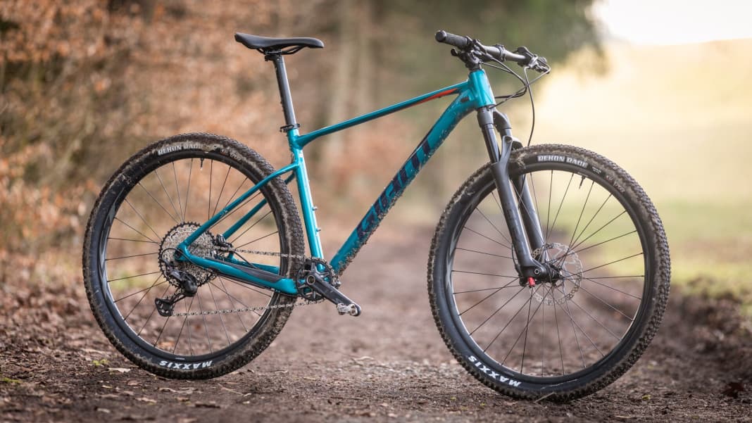 Giant XTC SLR Leichtes XC Hardtail mit top Rahmen BIKE