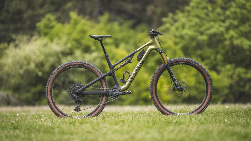 Canyon neuron cf test cheap