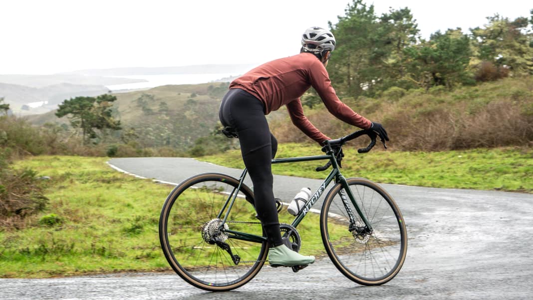 Ritchey logic road disc shop