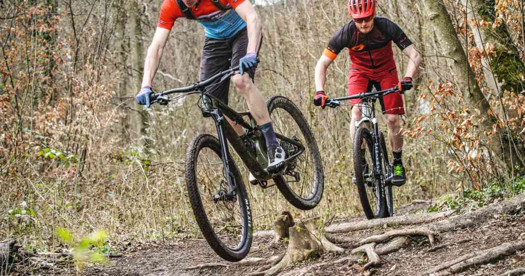 Titanium Rigid Fork Fork 29 Boost MTN Boost LT Fork Whisky Parts Co