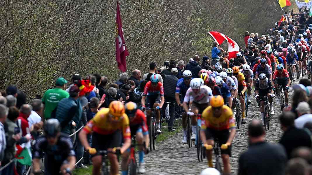 Paris-Roubaix 2024 : chicane avant la forêt d'Arenberg
