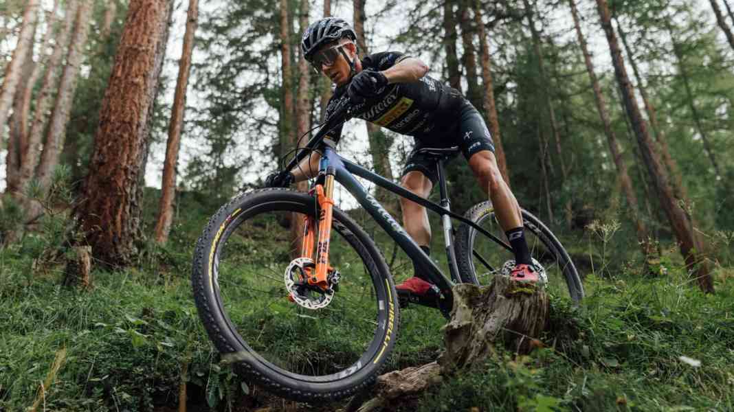 Verstärkung in der Renn-Abteilung: Wilier USMA SLR Race-Hardtail