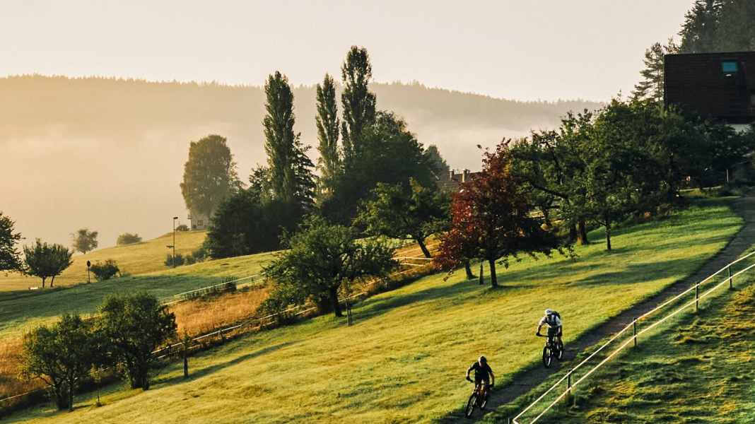 Low mountain trips: 6 tours for mountain bikers - MTB spots in Germany