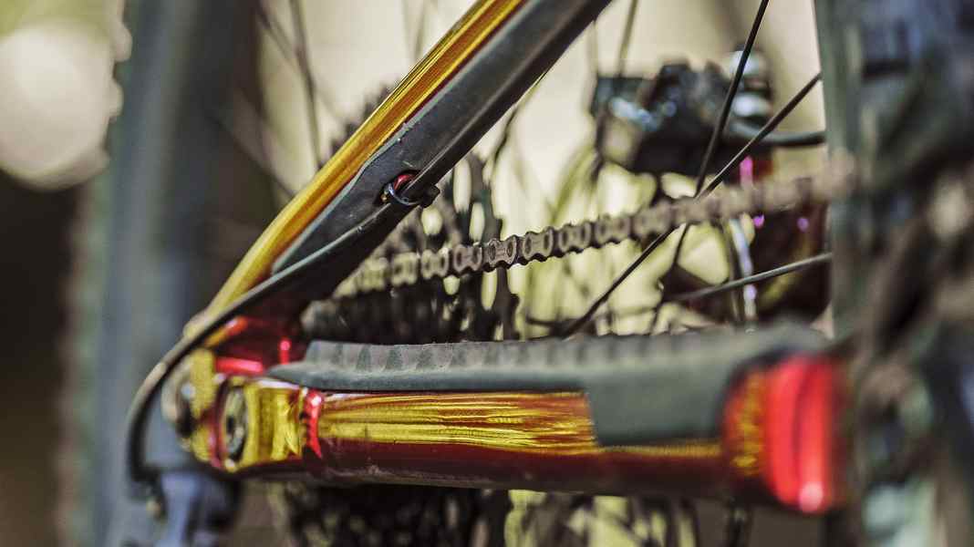 With one exception: Nukeproof, Ridley & Co. now guaranteed forever