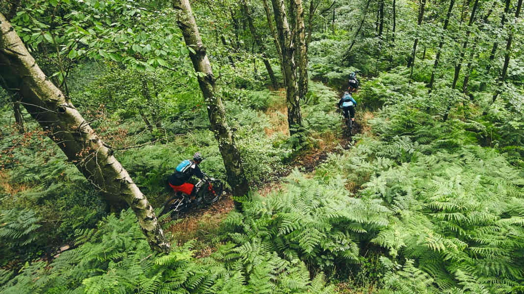 Green will: How the bike industry is becoming more sustainable