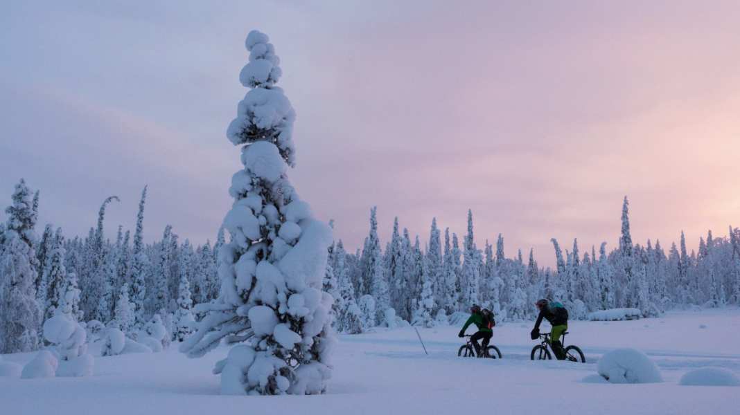 Winter Sale - MTB offers in February