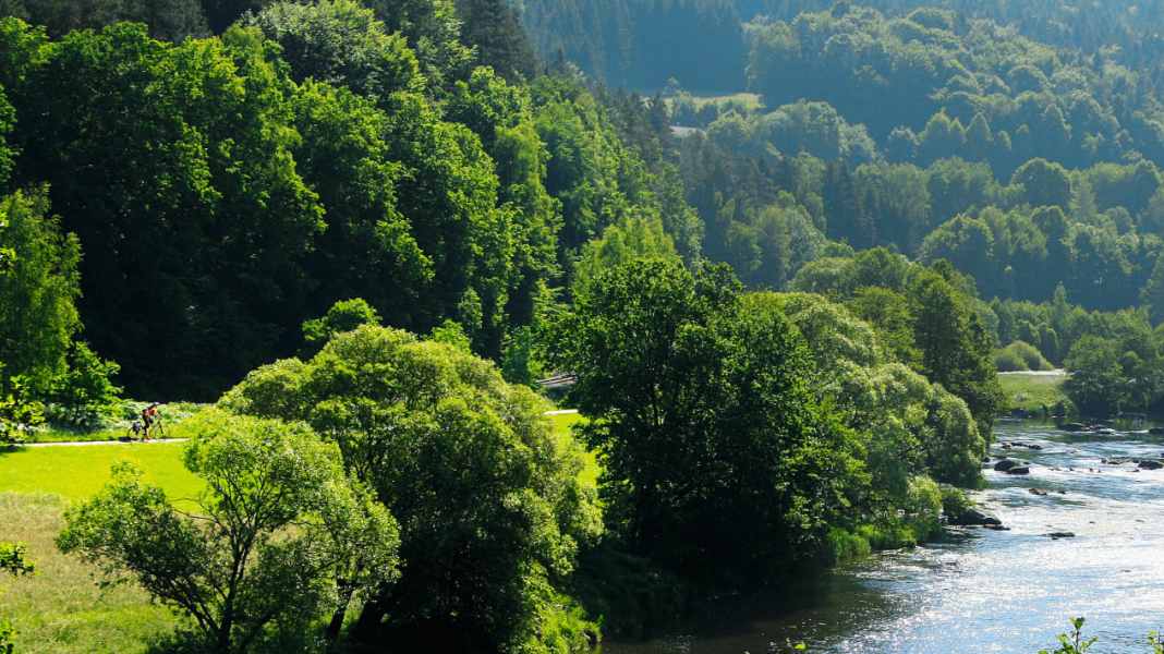 Cycle tour through Bavaria and the Czech Republic