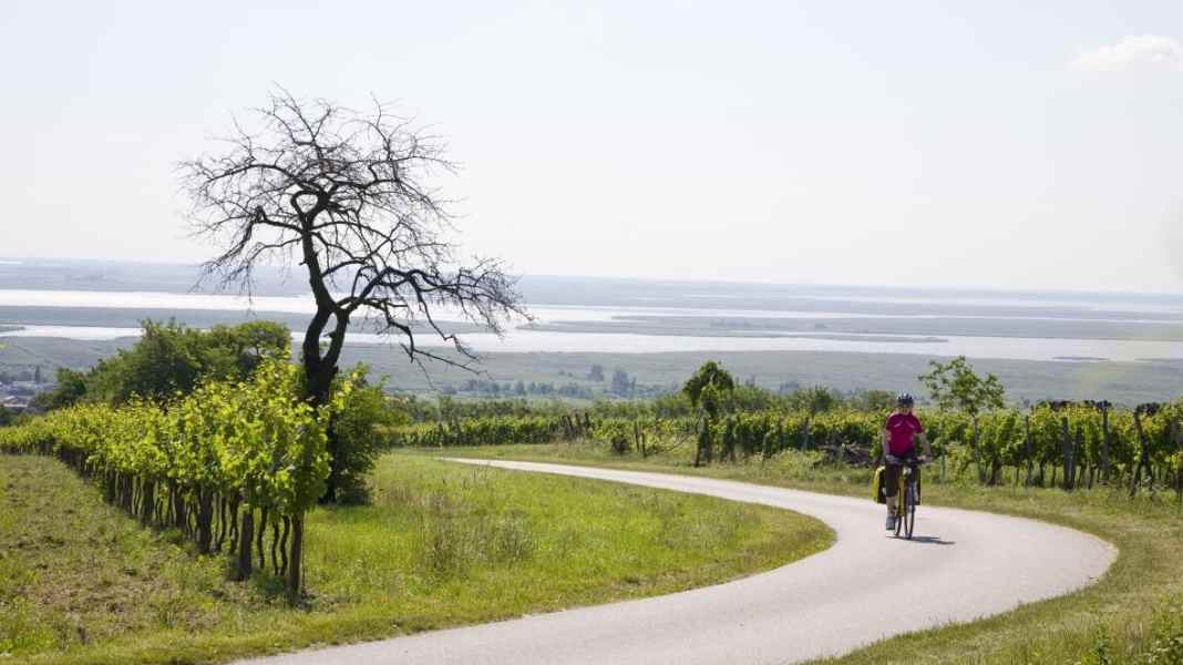Radreise vom Neusiedler See nach Wien