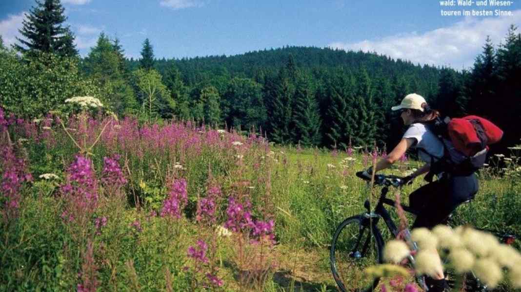 Grenzfahrt im Mühlviertel