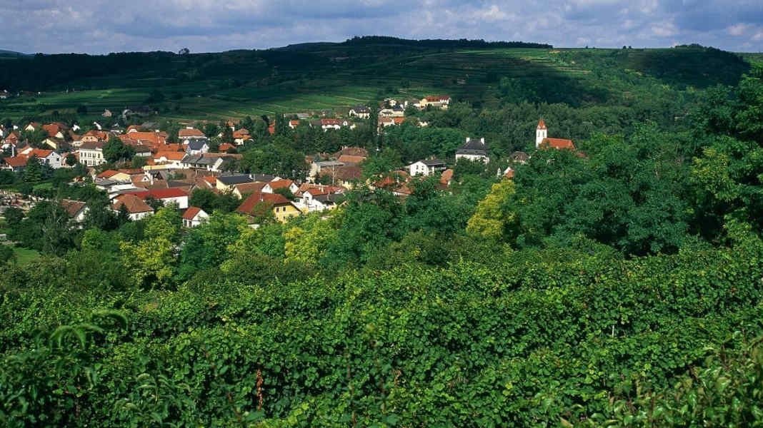 Niederösterreichs längste Route durchs Wein- und Waldviertel
