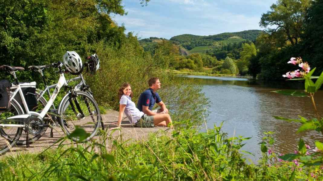 Der Riesling gibt den Ton an – auf dem Nahe-Radweg