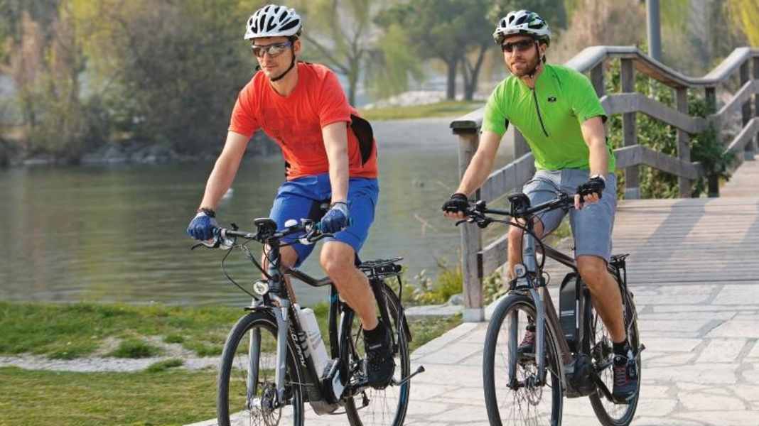 Touring pedelecs from the trekking bike brands