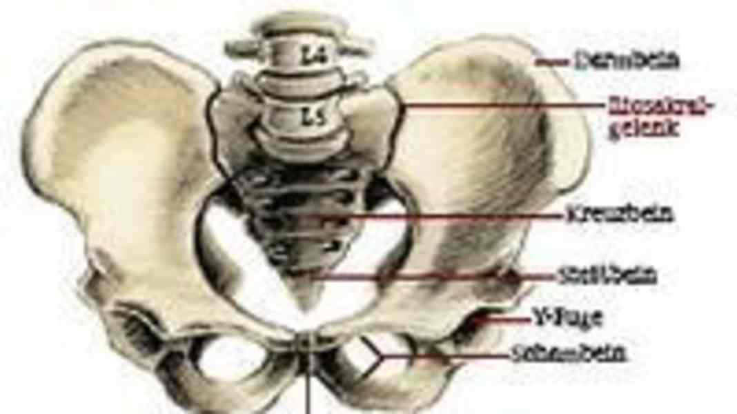 Iliosakralgelenk