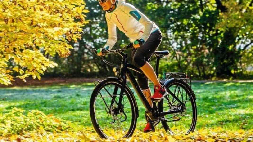 Rose Activa Pro Pinion - Around the world with 18 gears