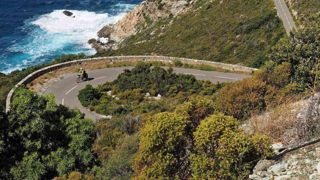Crawling through the mountains in the sea