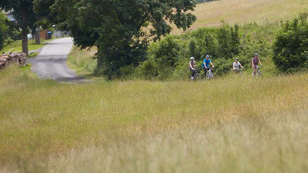 Musicians cycle path