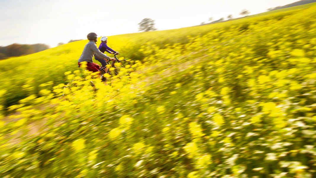 S-Pedelecs: 8 schnelle Modelle im Highspeed-Test