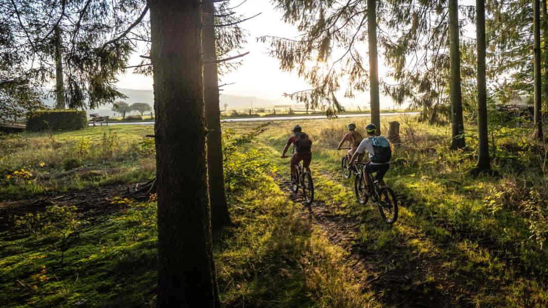 What awaits you on the Stoneman Arduenna