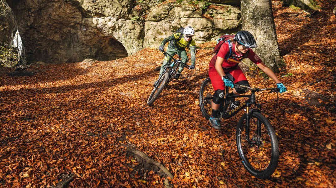 Trail-Paradies: Die besten MTB-Touren rund um Nürnberg
