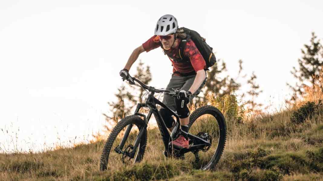 Damper in the frame: Bold Unplugged Volume 2 in the test