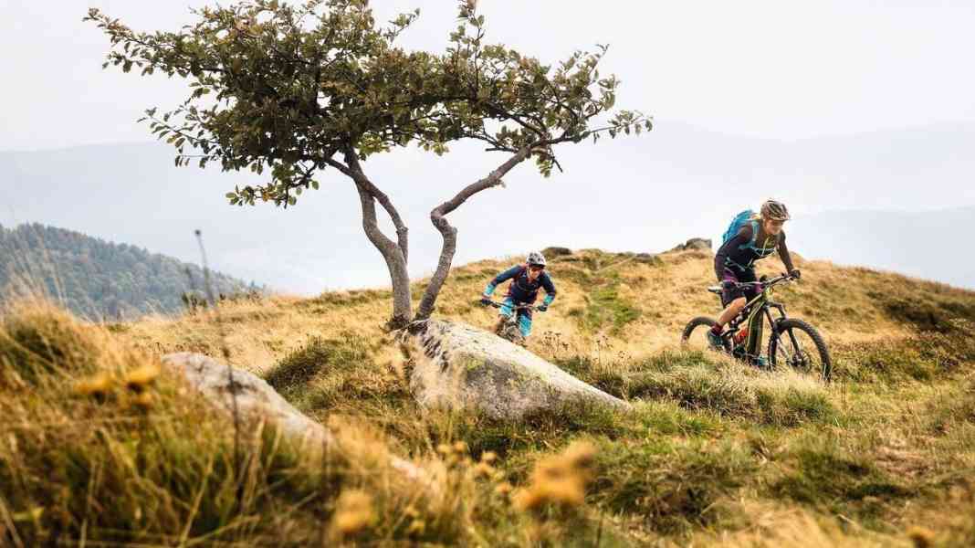 France: Riding the waves through the Vosges