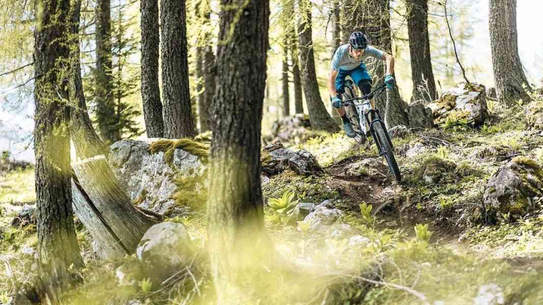 8 e-trail bikes put to the test in four trail parks