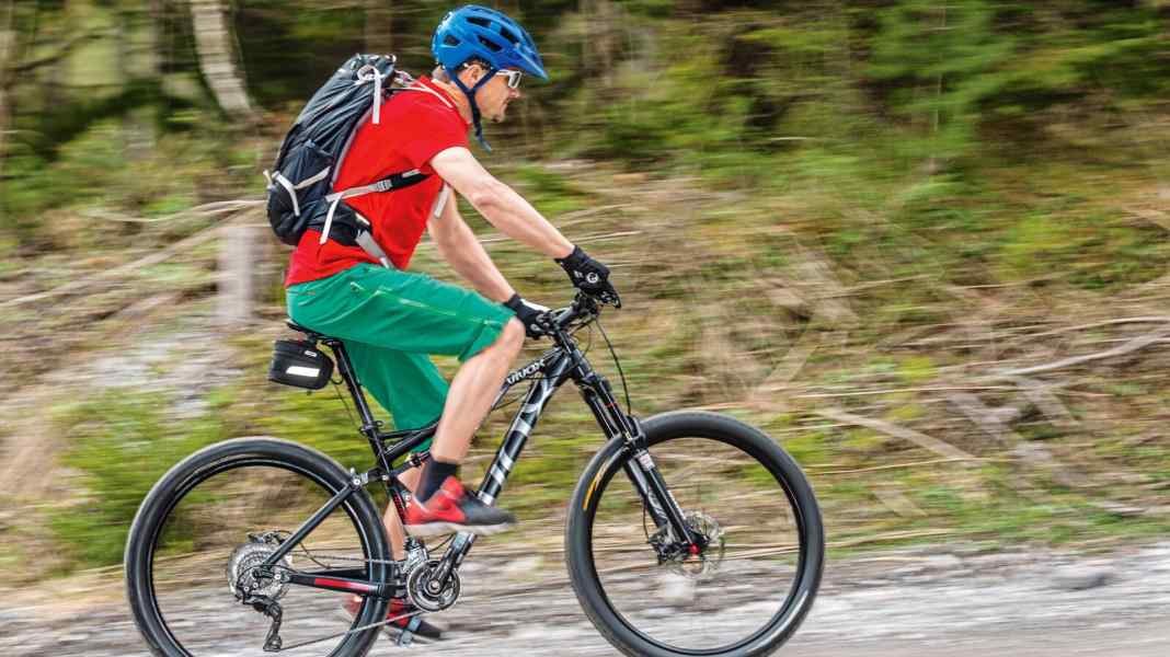 Nachrüstmotor Vivax Assist 4.75 im Test