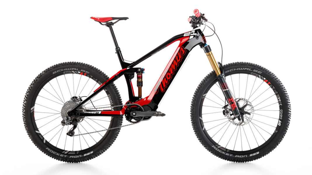 E-Fully with carbon frame