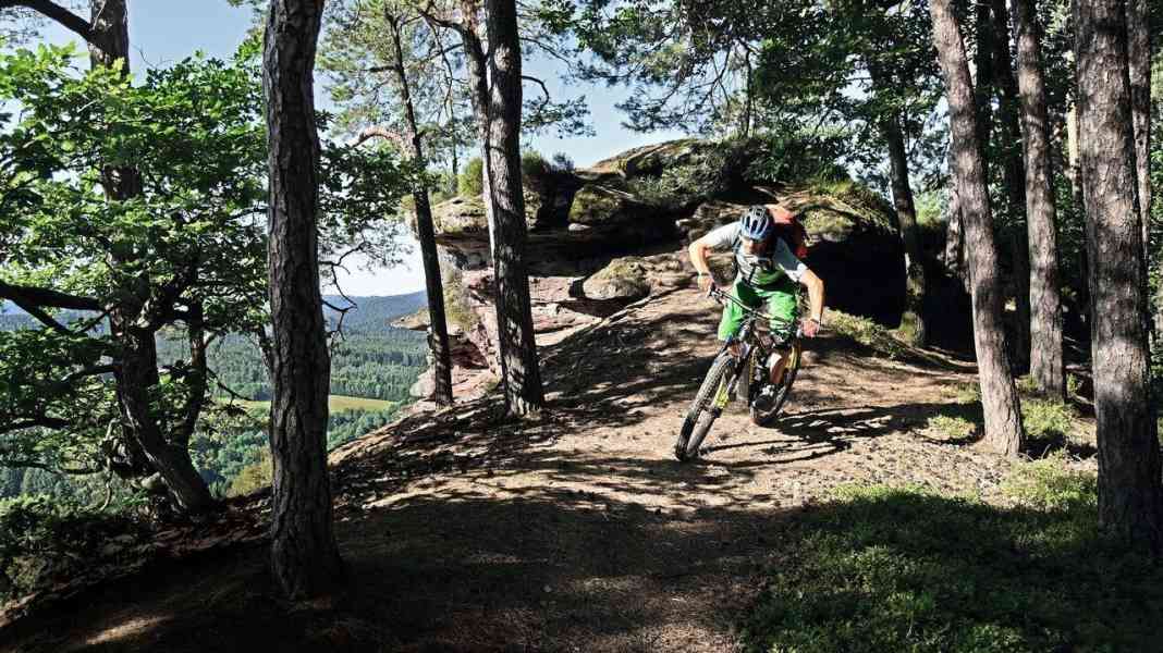 2 single trails for E-MTB tours in the Palatinate Forest