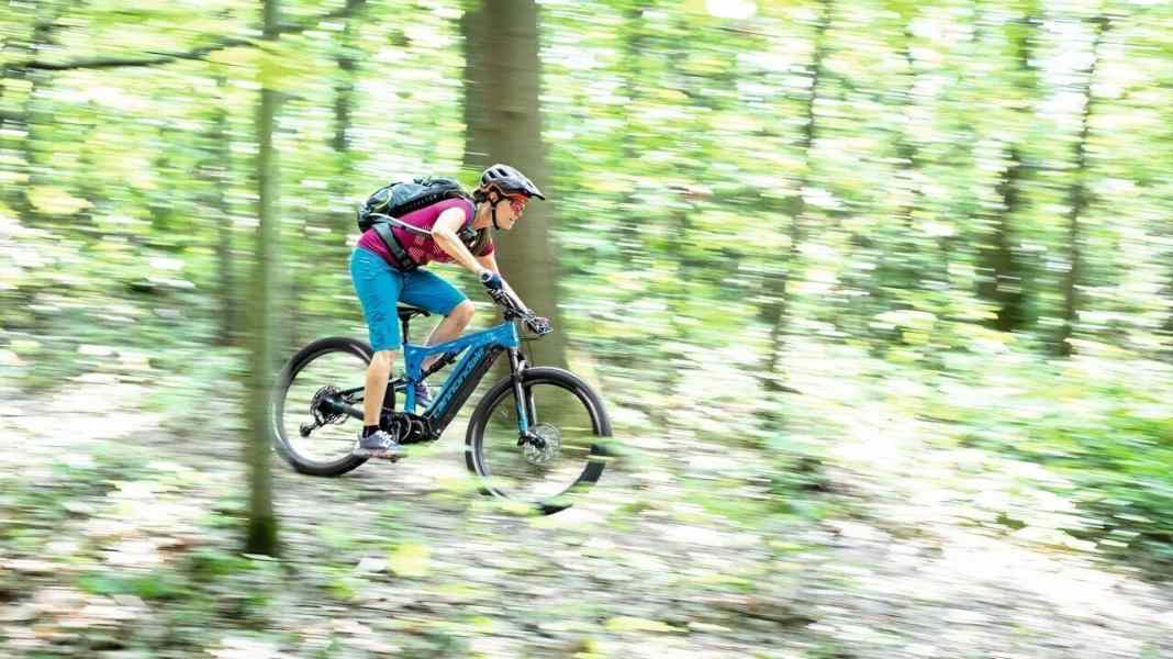 Verspieltes Trailbike: Cannondale Cujo Neo im Check