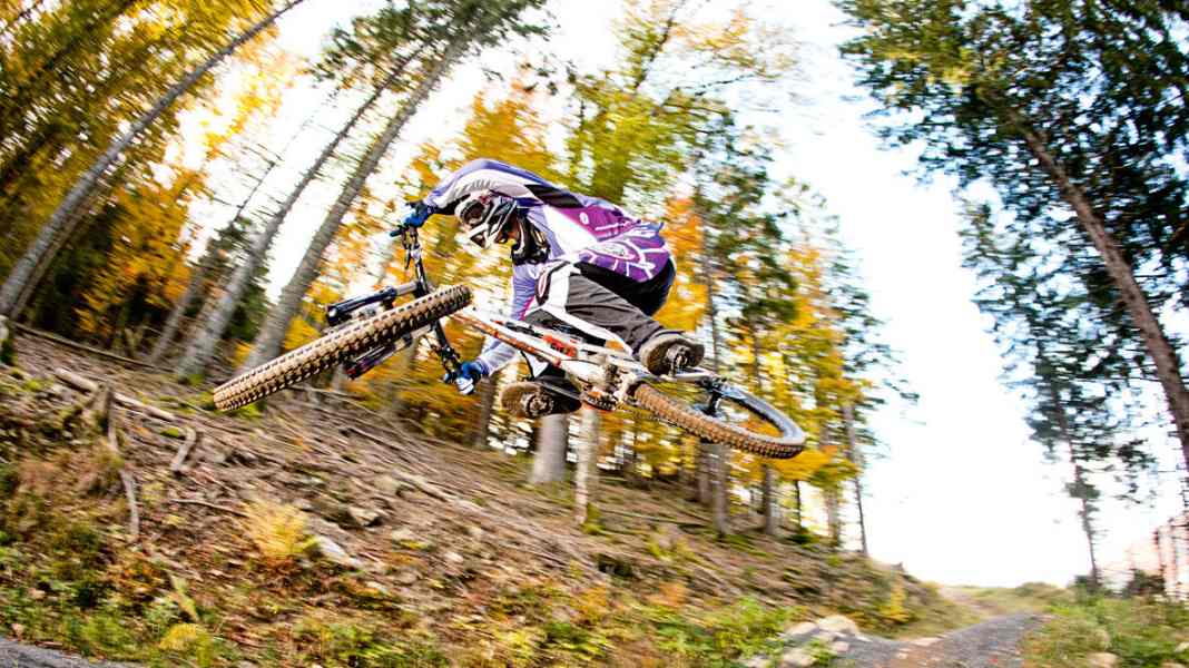 Bikepark Todtnau in the big comparison test
