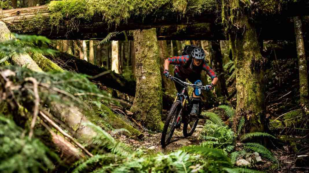 Squamish: Steffi Marth im Trail-Paradies
